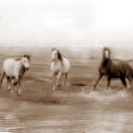 running free