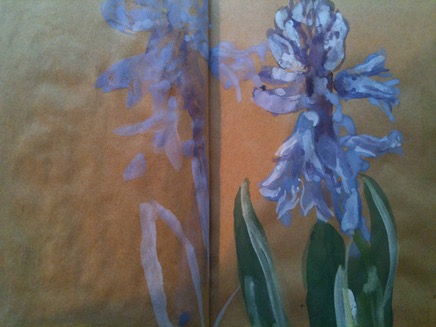 hyacinth 2 smaller