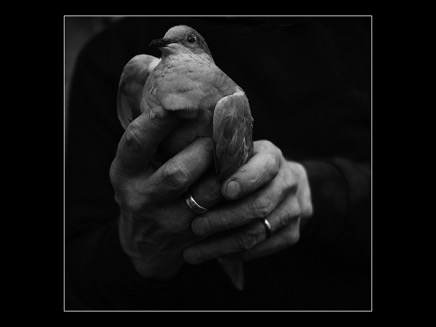 4holding the dove.jpg